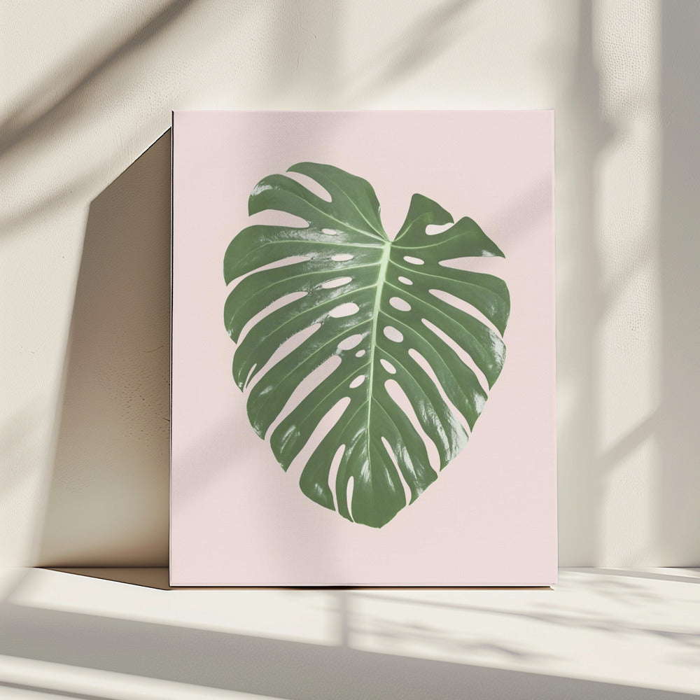 Monstera Leaf Blush | Canvas