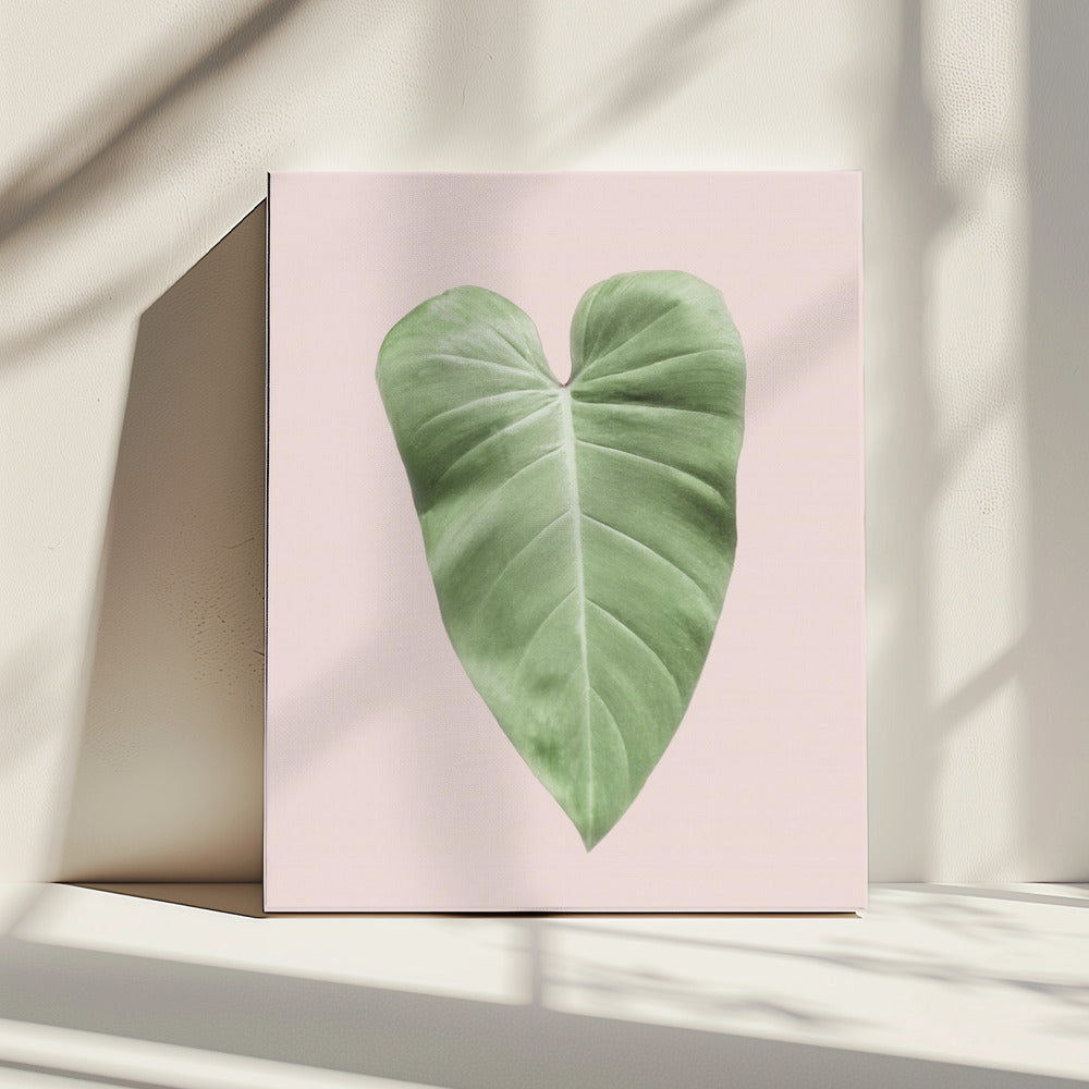 Tropical Leaf Blush | Canvas