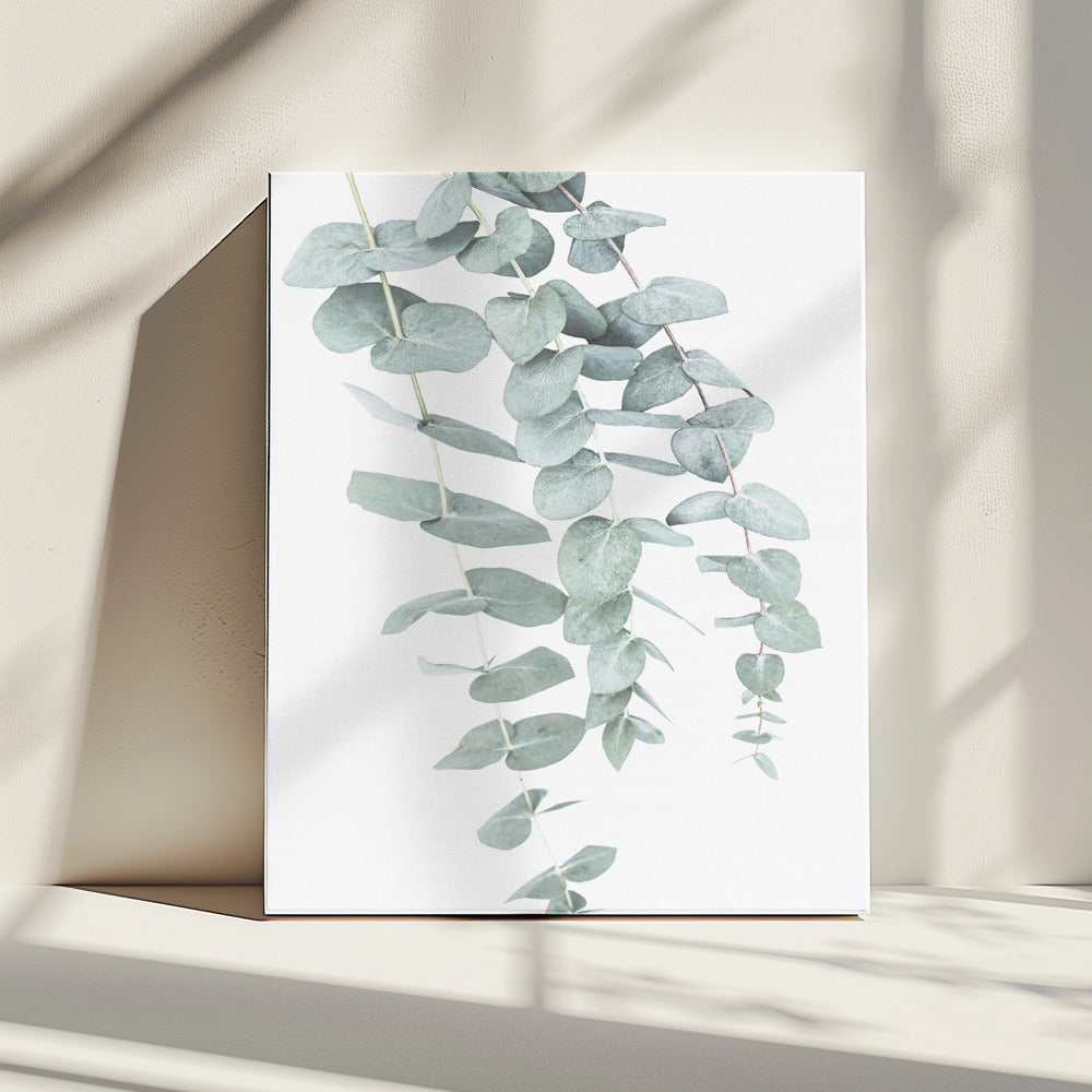 Eucalyptus I | Canvas