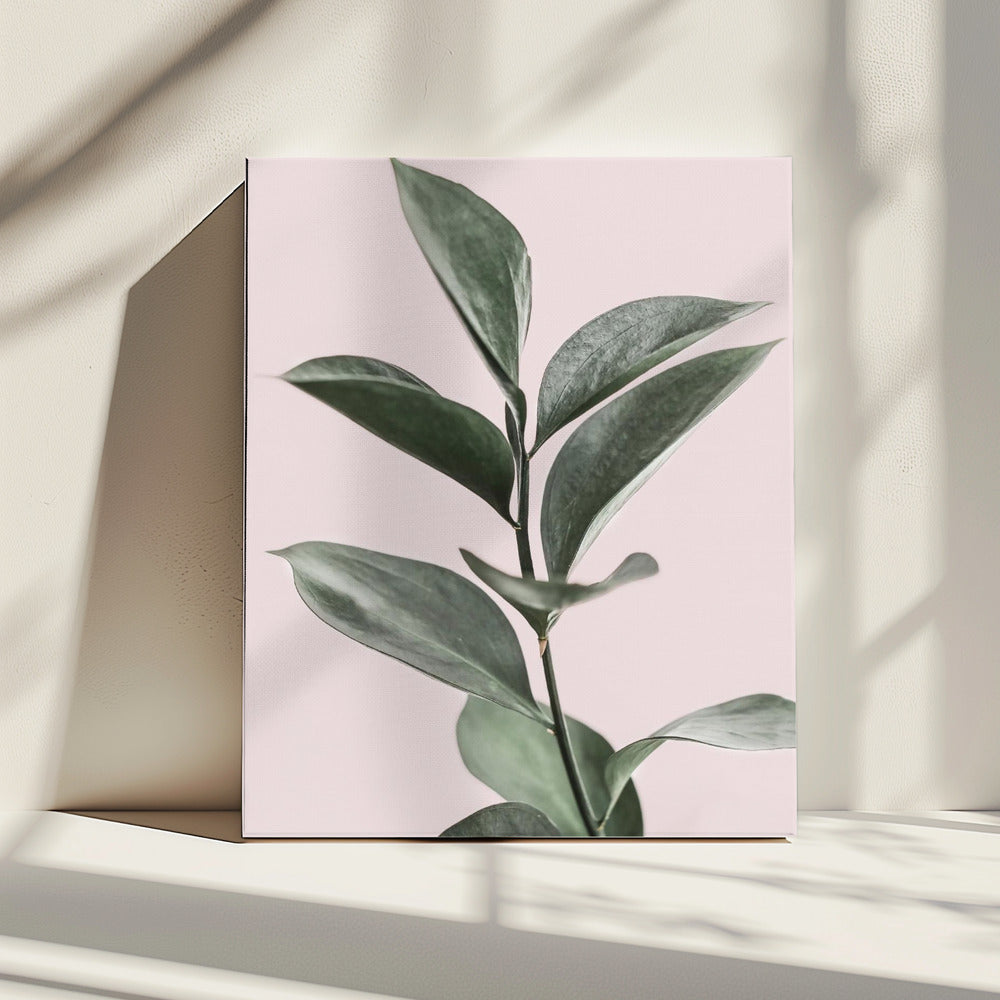 Foliage on Pink | Canvas