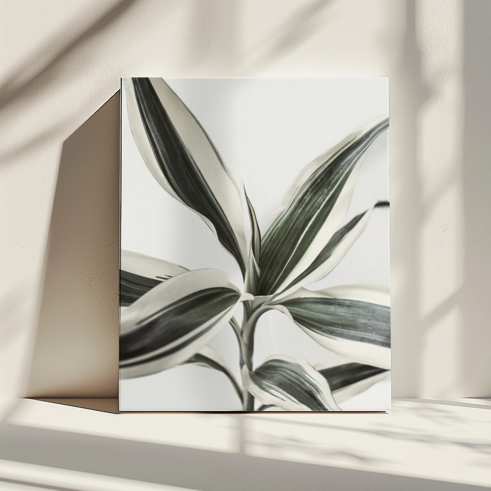 Foliage | Canvas