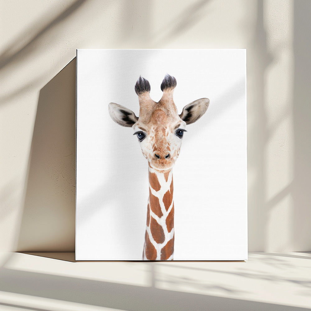 Baby Giraffe | Canvas