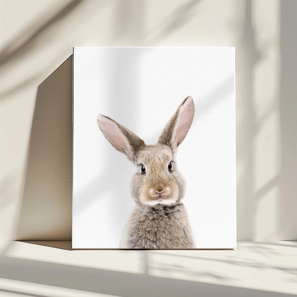 Baby Rabbit | Canvas