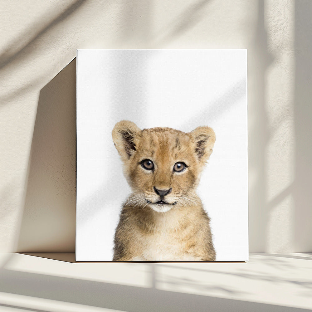Baby Lion | Canvas