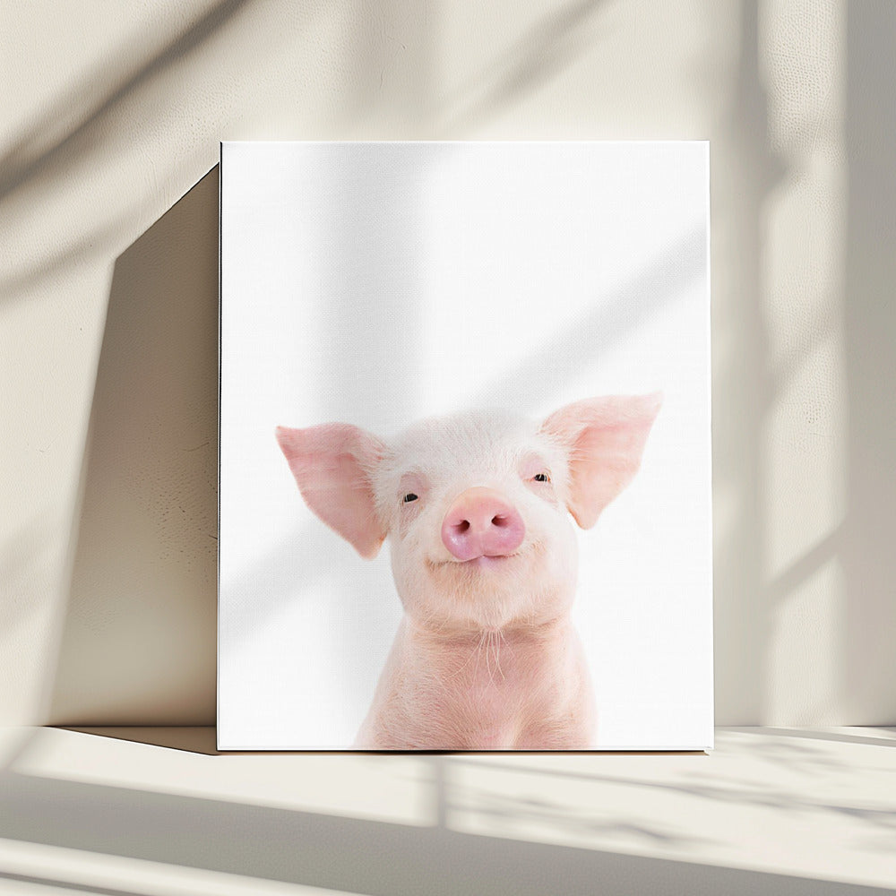 Baby Pig | Canvas
