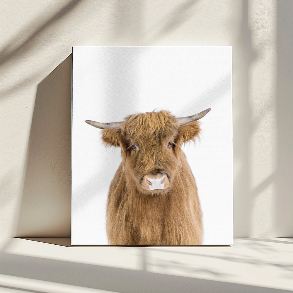 Baby Cow | Canvas