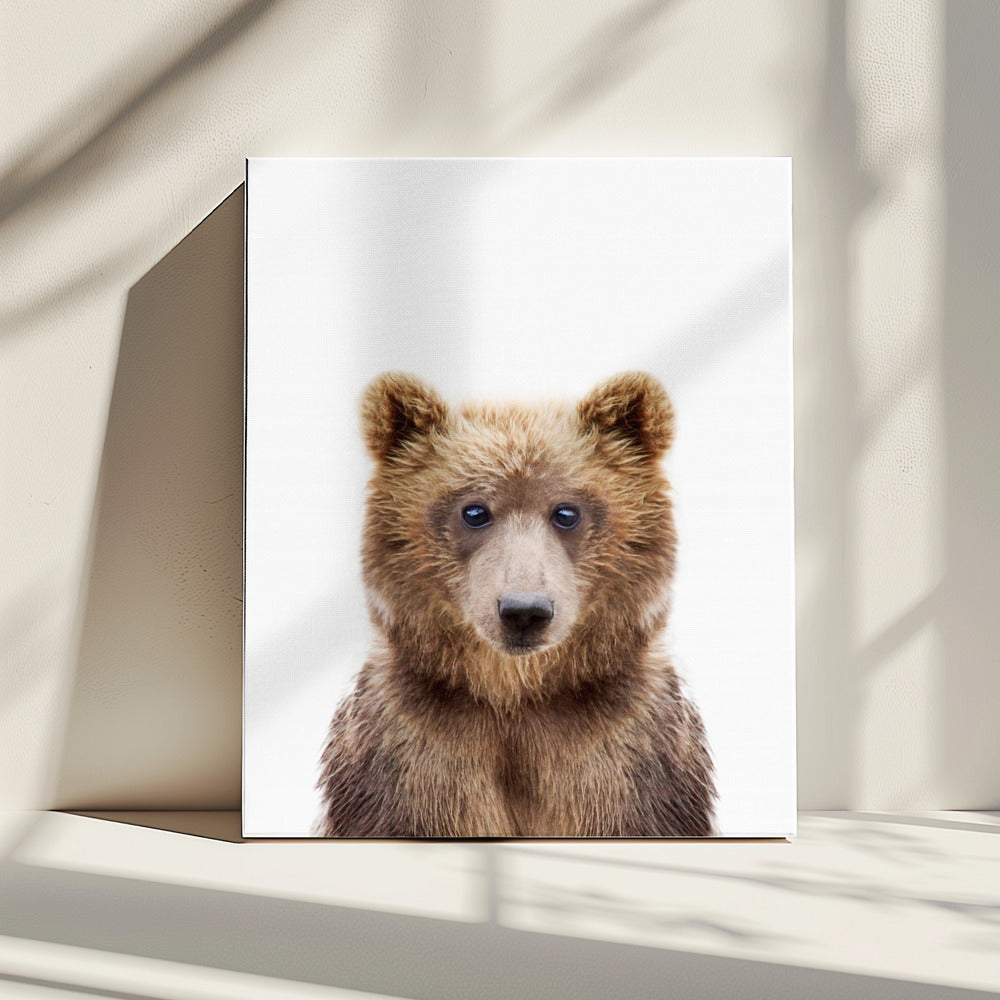 Baby Bear | Canvas