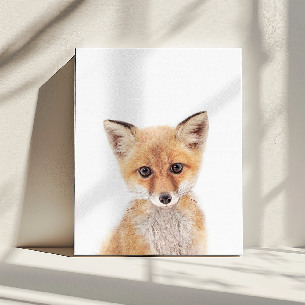 Baby Fox | Canvas