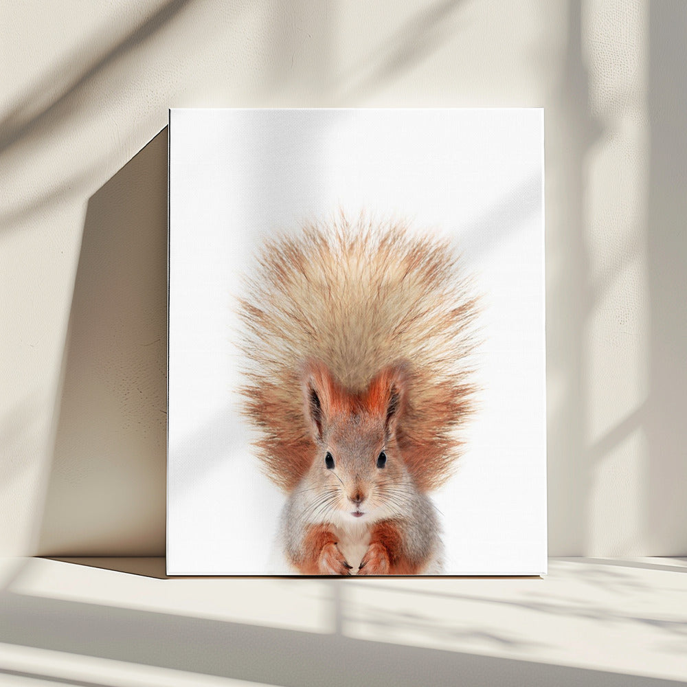 Baby Squirel | Canvas