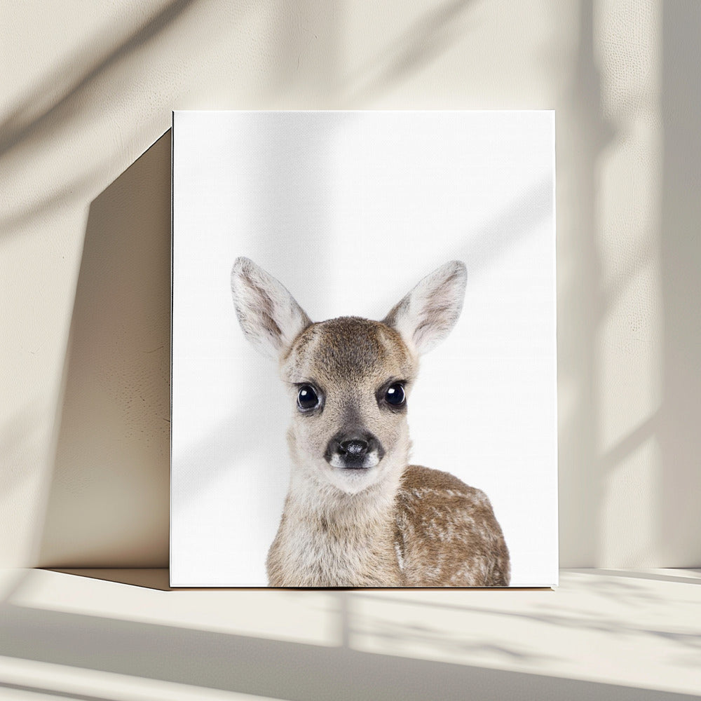 Baby Deer | Canvas