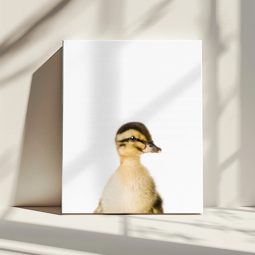 Baby Duck | Canvas