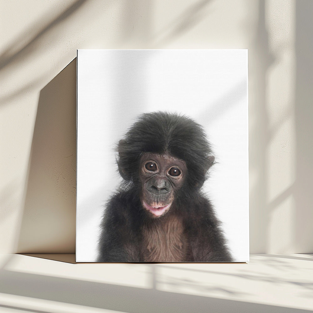 Baby Monkey | Canvas