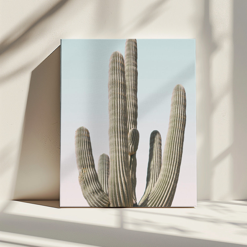 Saguaro | Canvas