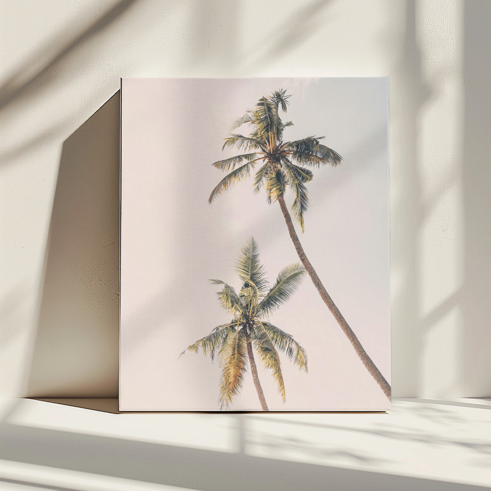Tropical Palms | Canvas