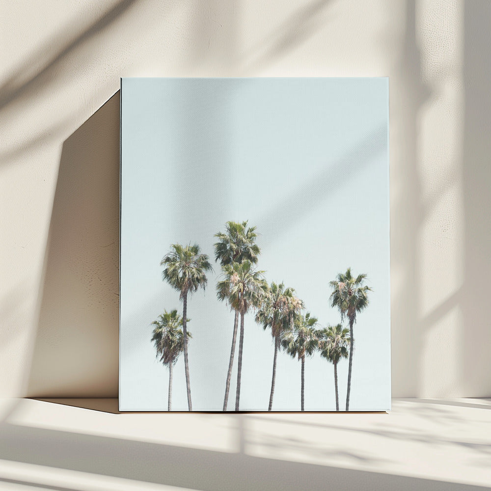 Blue Palm Trees | Canvas