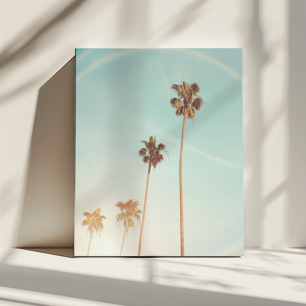 Sunny Cali Palm Tree | Canvas