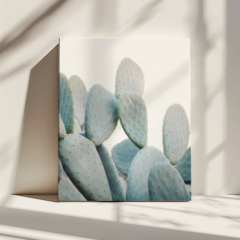 Pastel Cacti | Canvas