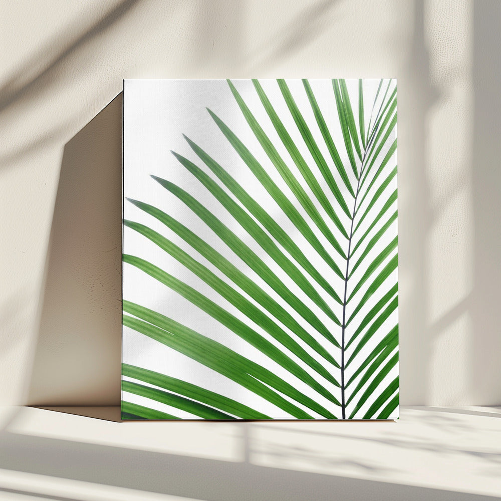 Green Palm Leaf | Canvas