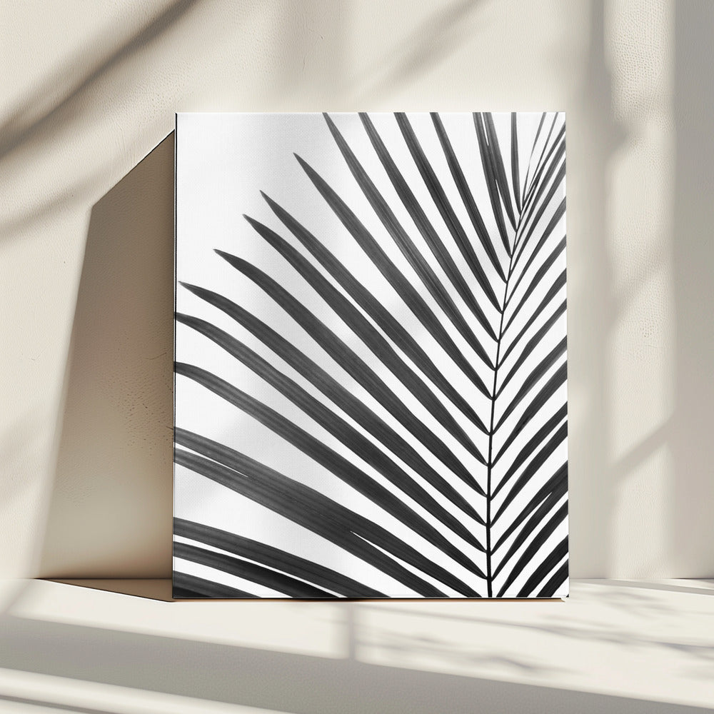 BW Palm Leaf | Canvas