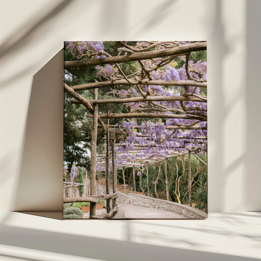 The Lavender Walkway | Canvas