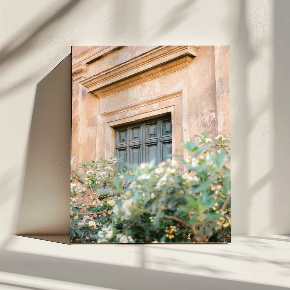 Botanical Trastevere Rome | Canvas