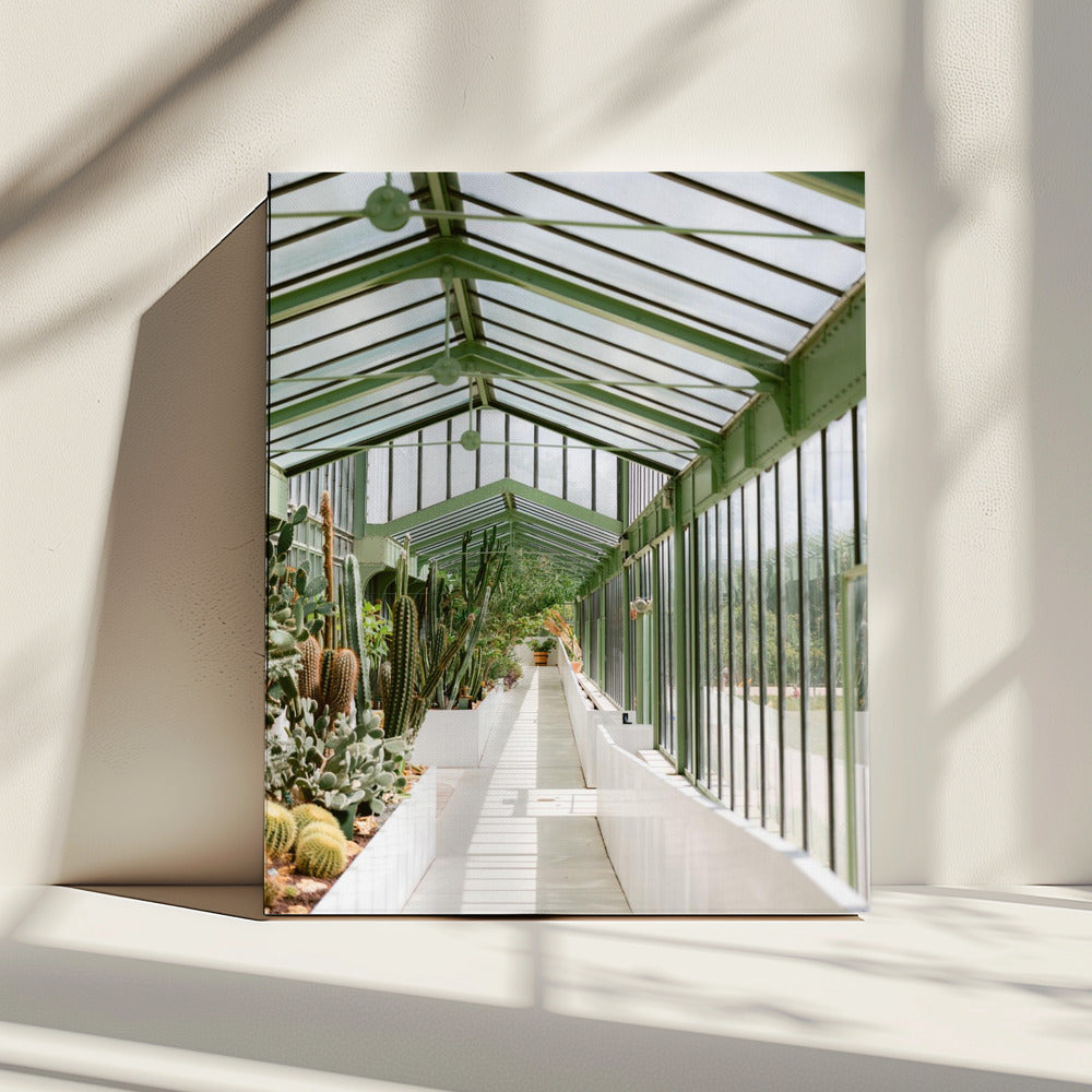 Botanical garden of Paris | Canvas