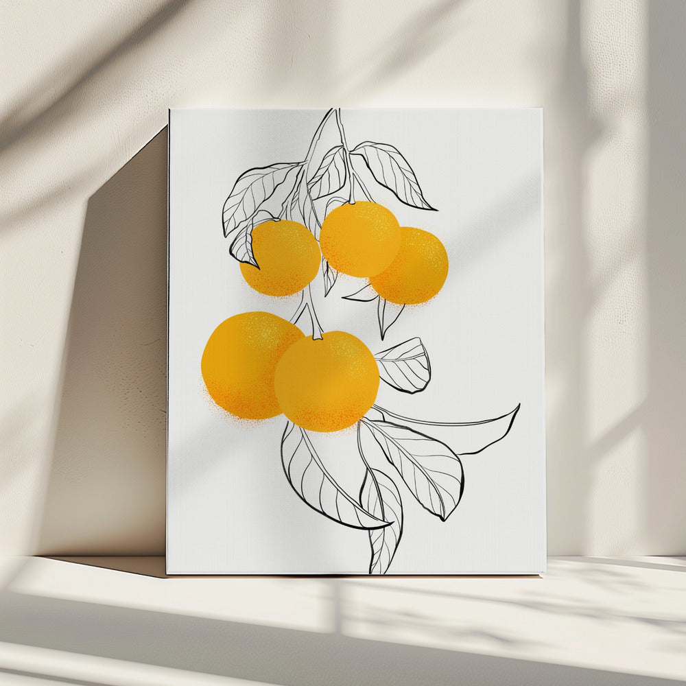 Mabel oranges | Canvas