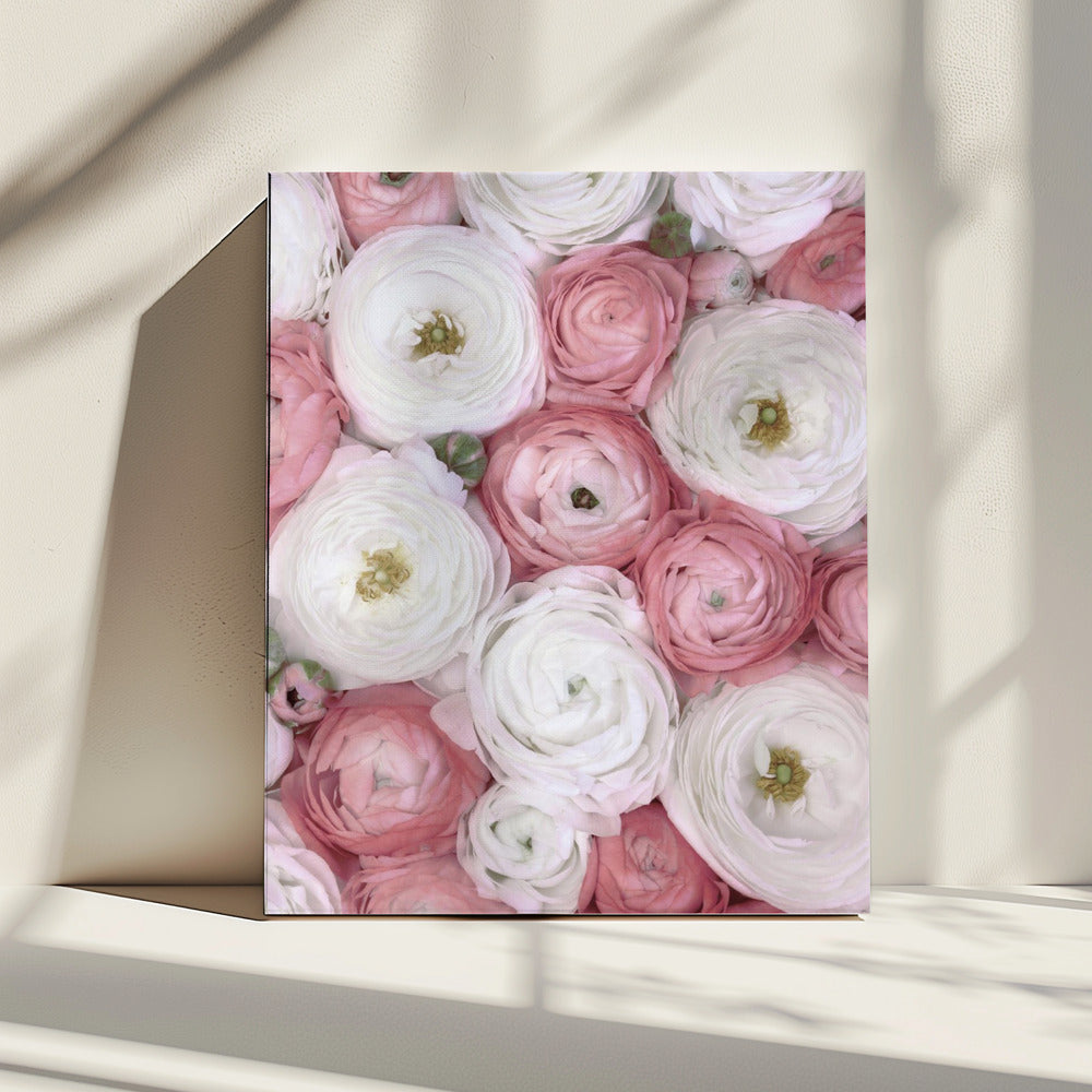 Scattered ranunculus in muted pink I | Canvas