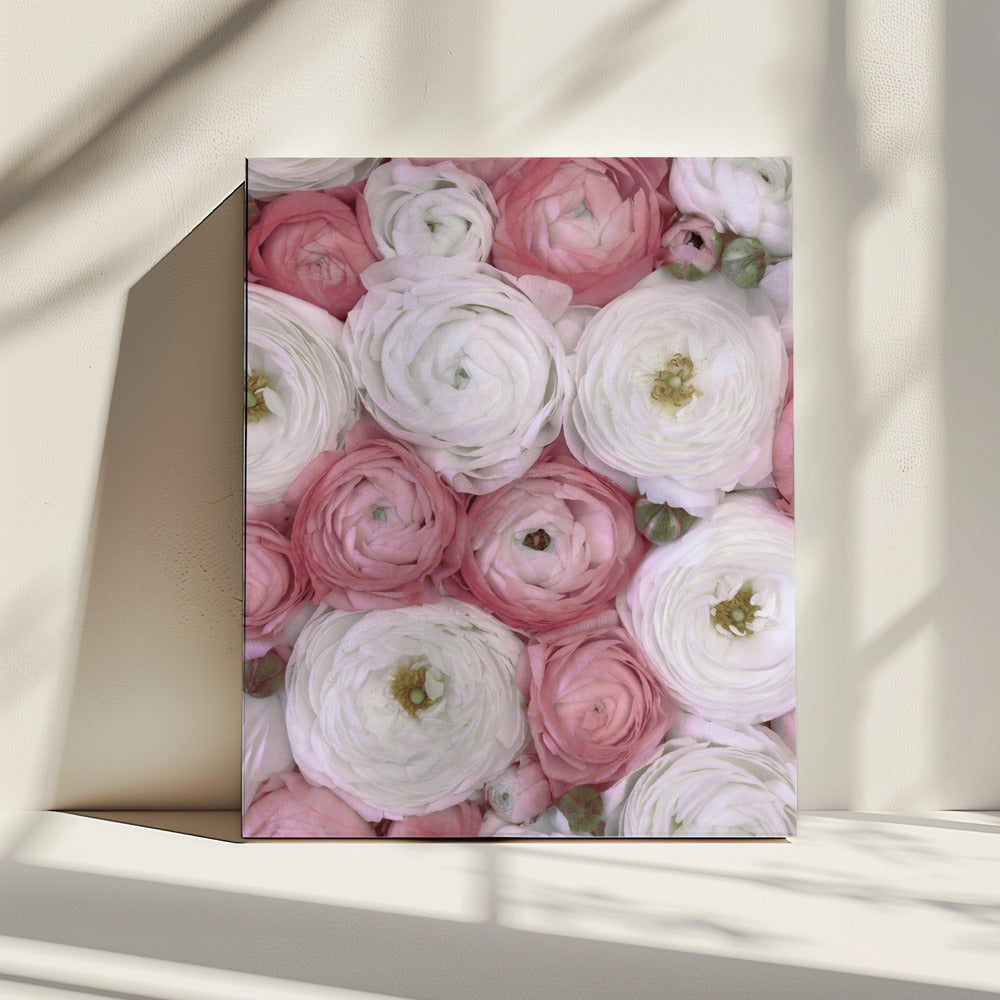 Scattered ranunculus in muted pink II | Canvas