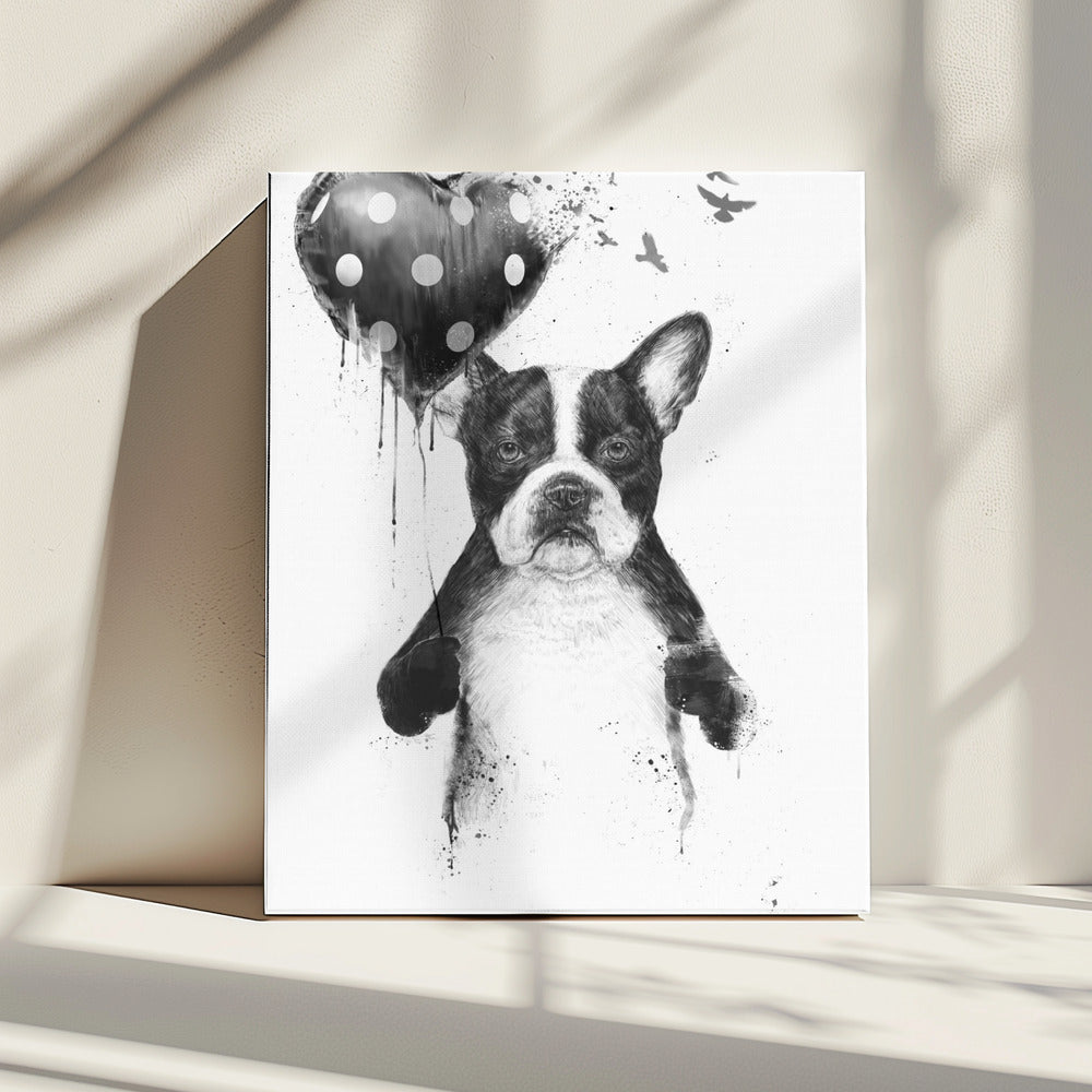 My heart goes boom | Canvas