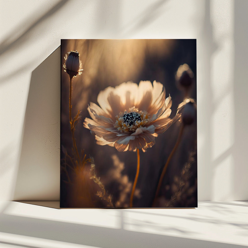 Sunlit Blossom | Canvas