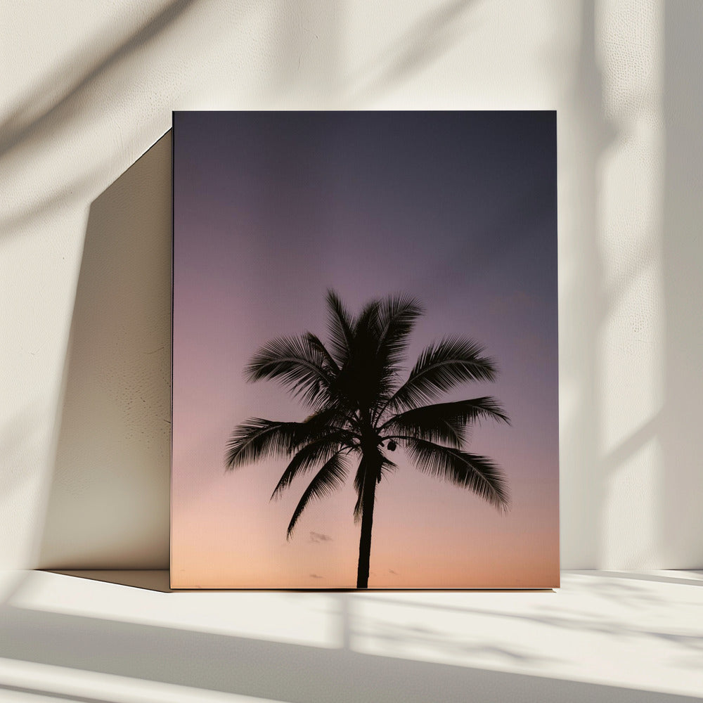 Costa Rica Palm Tree | Canvas