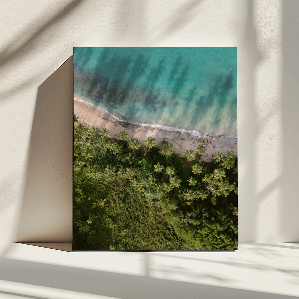 Palm Beach from Above | Canvas