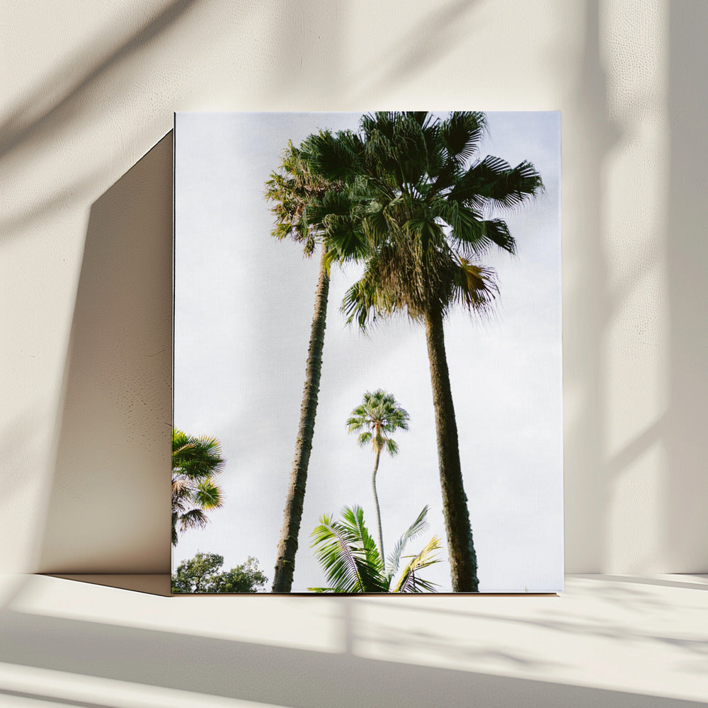 Find me under the Palm Tree | Canvas