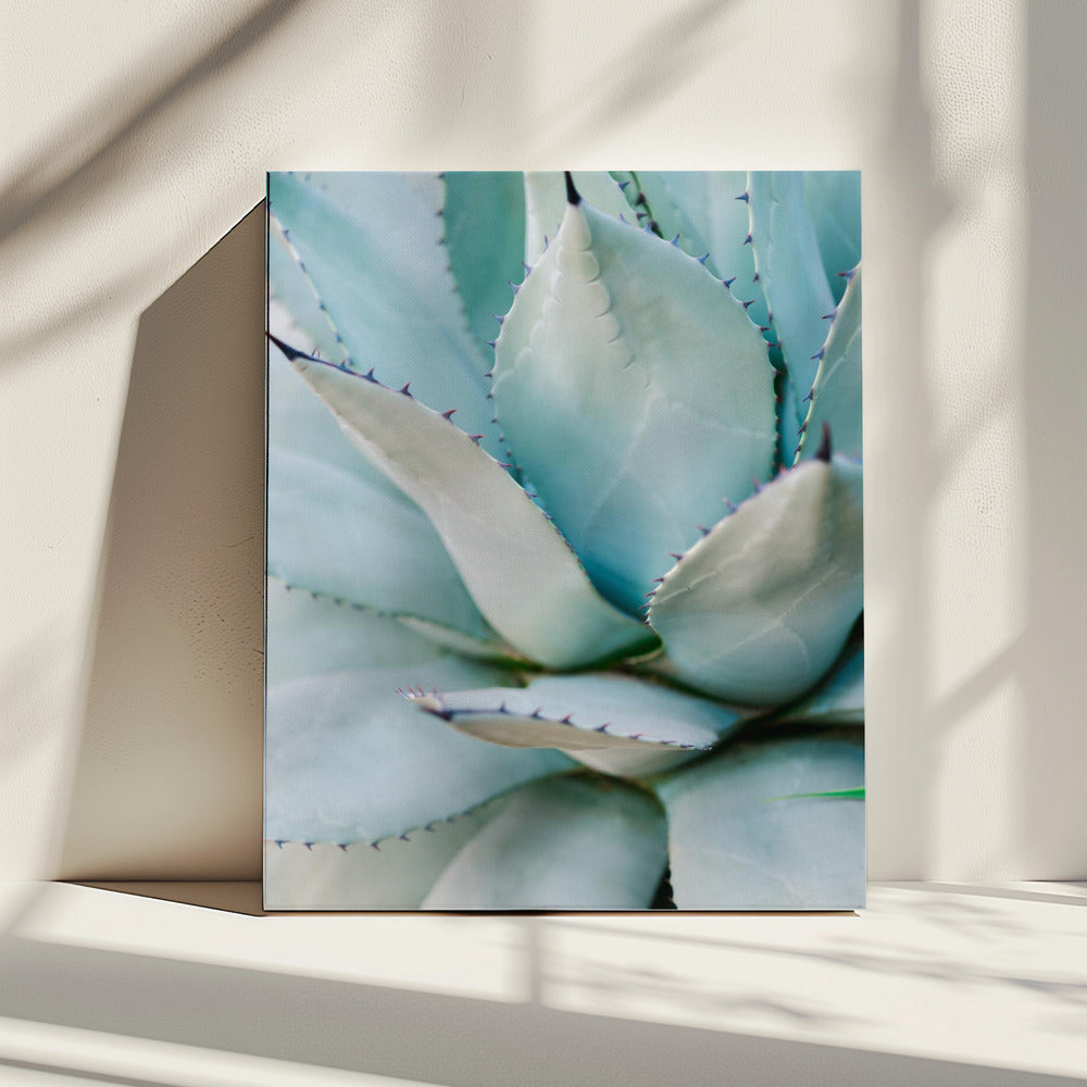 Succulent Green | Canvas