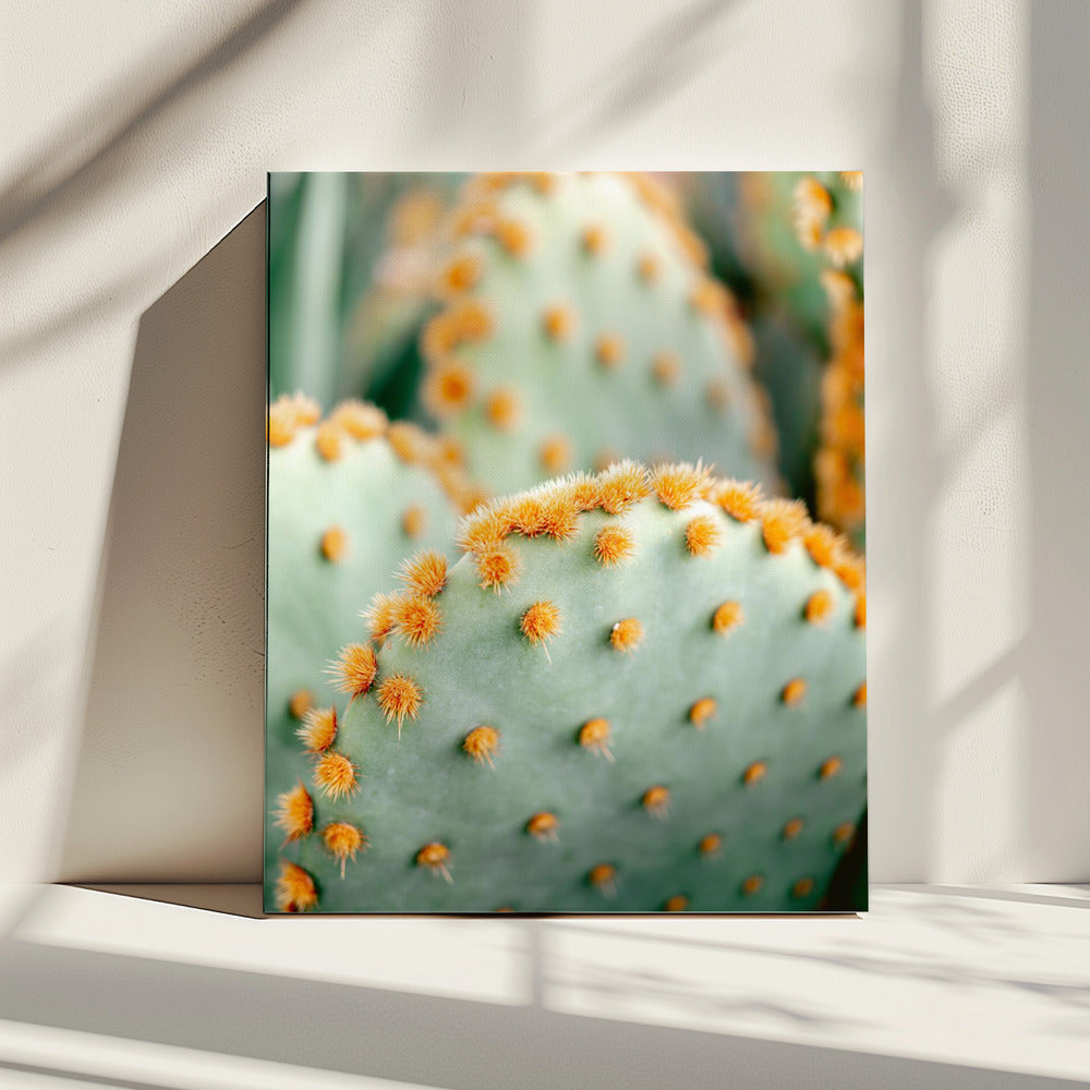 Orange and Green II - Marrakech botanical photography | Canvas
