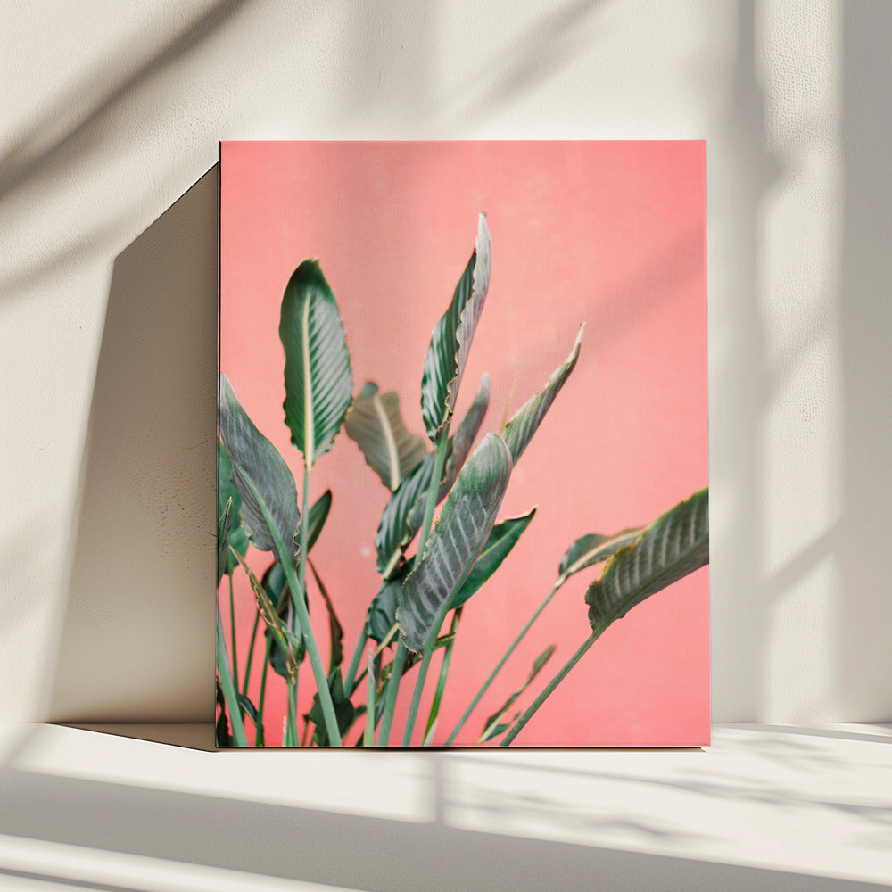 South Of Spain 7 | Canvas