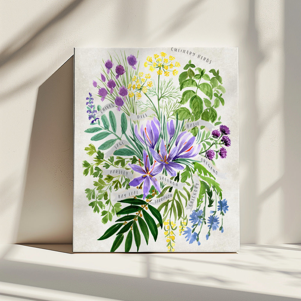 Culinary herbs in vintage gray | Canvas
