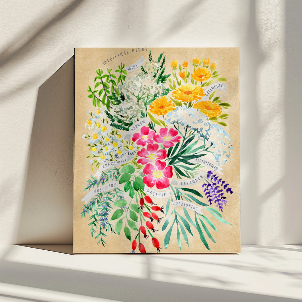 Medicinal herbs in vintage sepia | Canvas