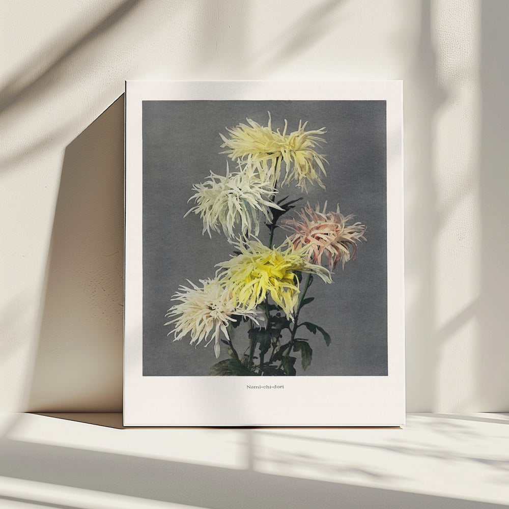 Nami–chi–dori | Canvas