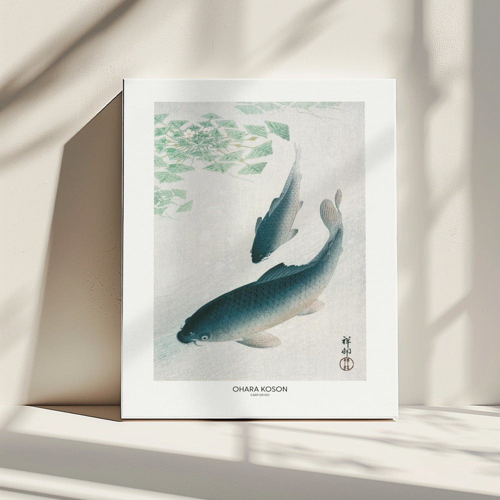 Carp Or Koi | Canvas