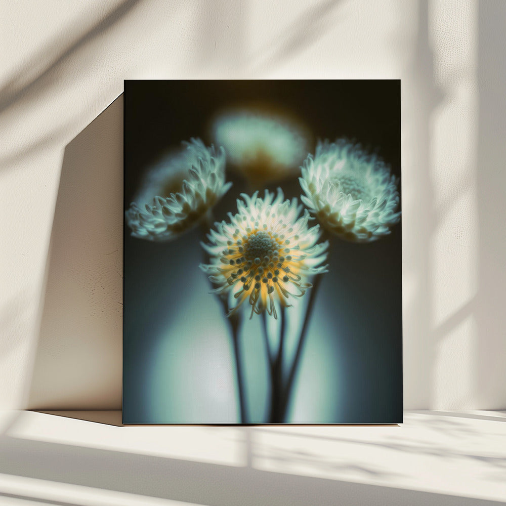 Ethereal Blooms | Canvas