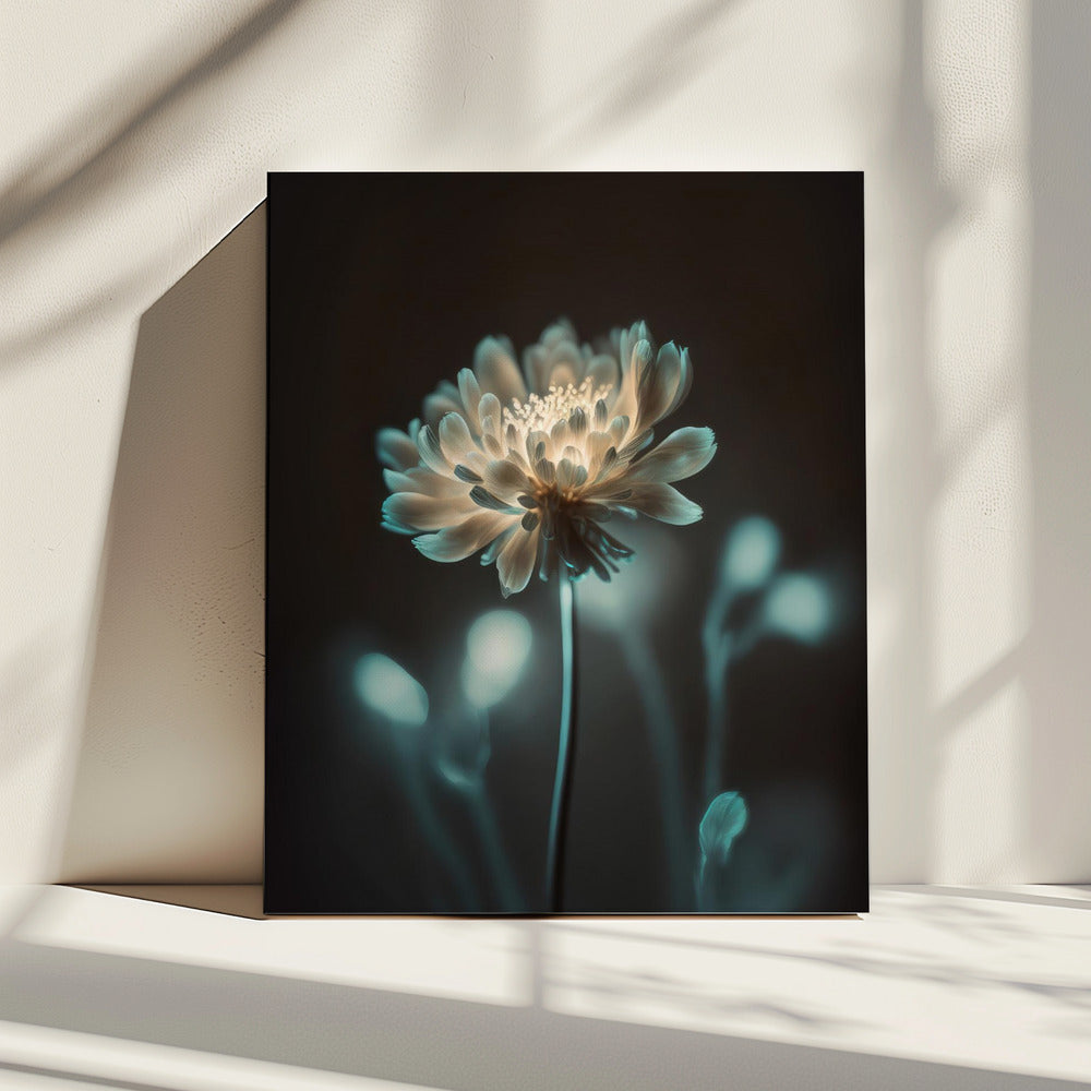 “Luminous Blossom” | Canvas