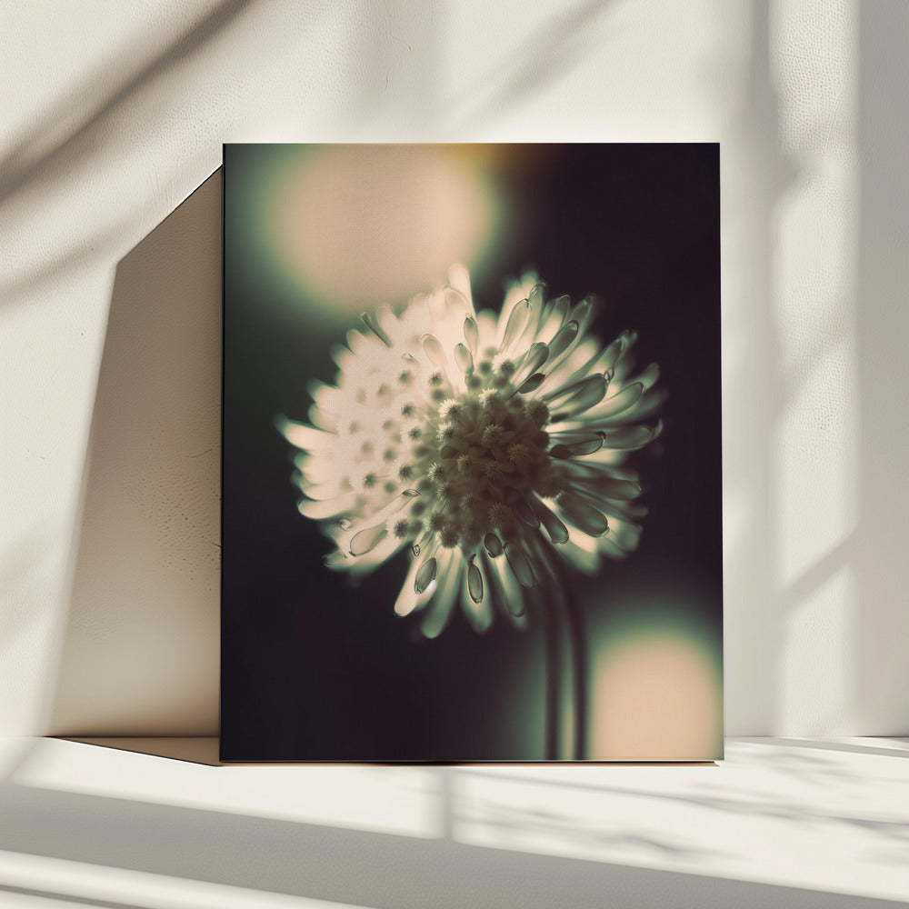 Ethereal Blossom | Canvas