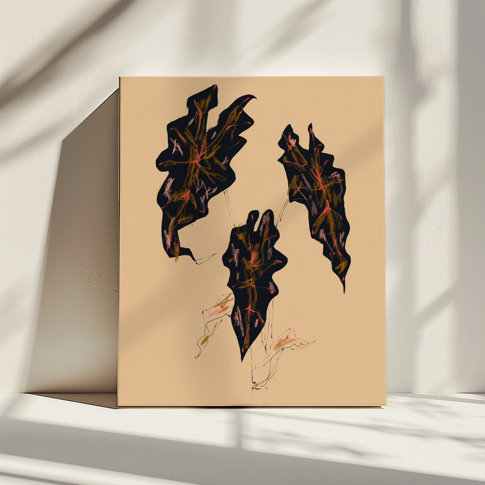 Alocasia Polly Beige | Canvas