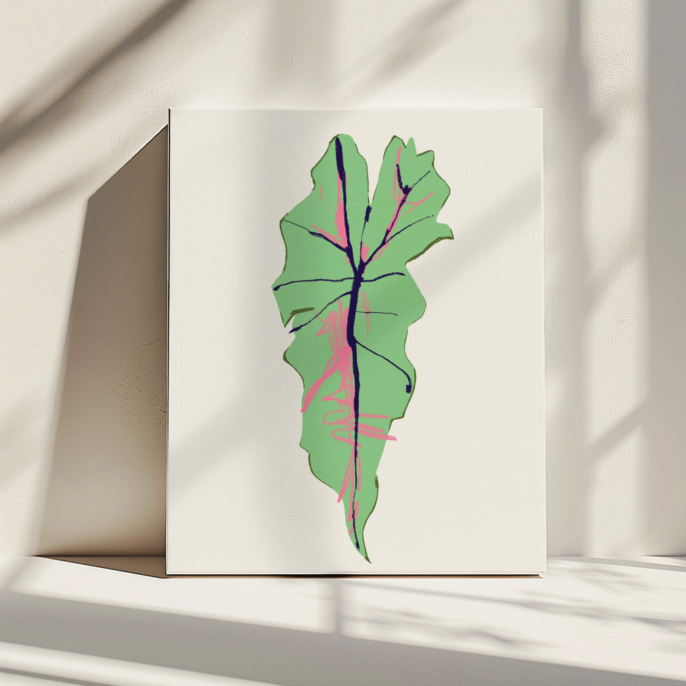 Alocasia Polly | Canvas