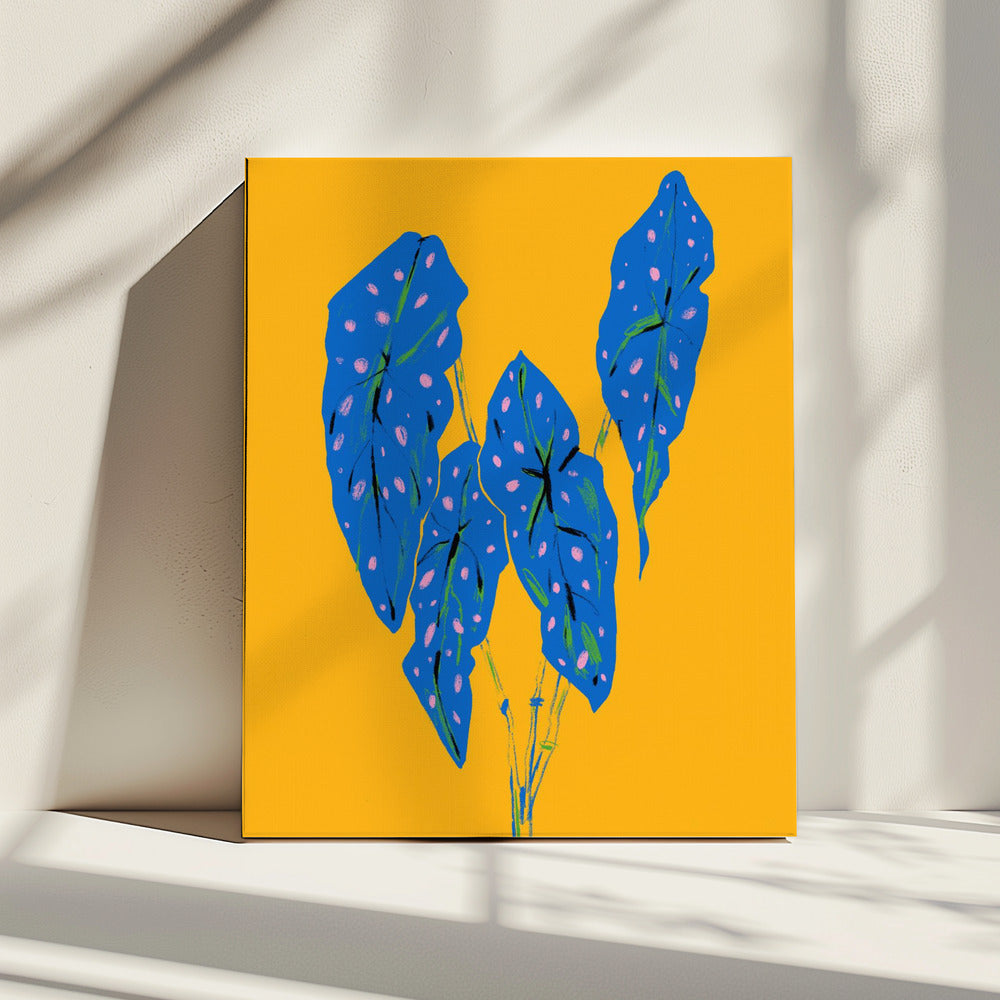 Begonia Maculata Blue and Yellow | Canvas