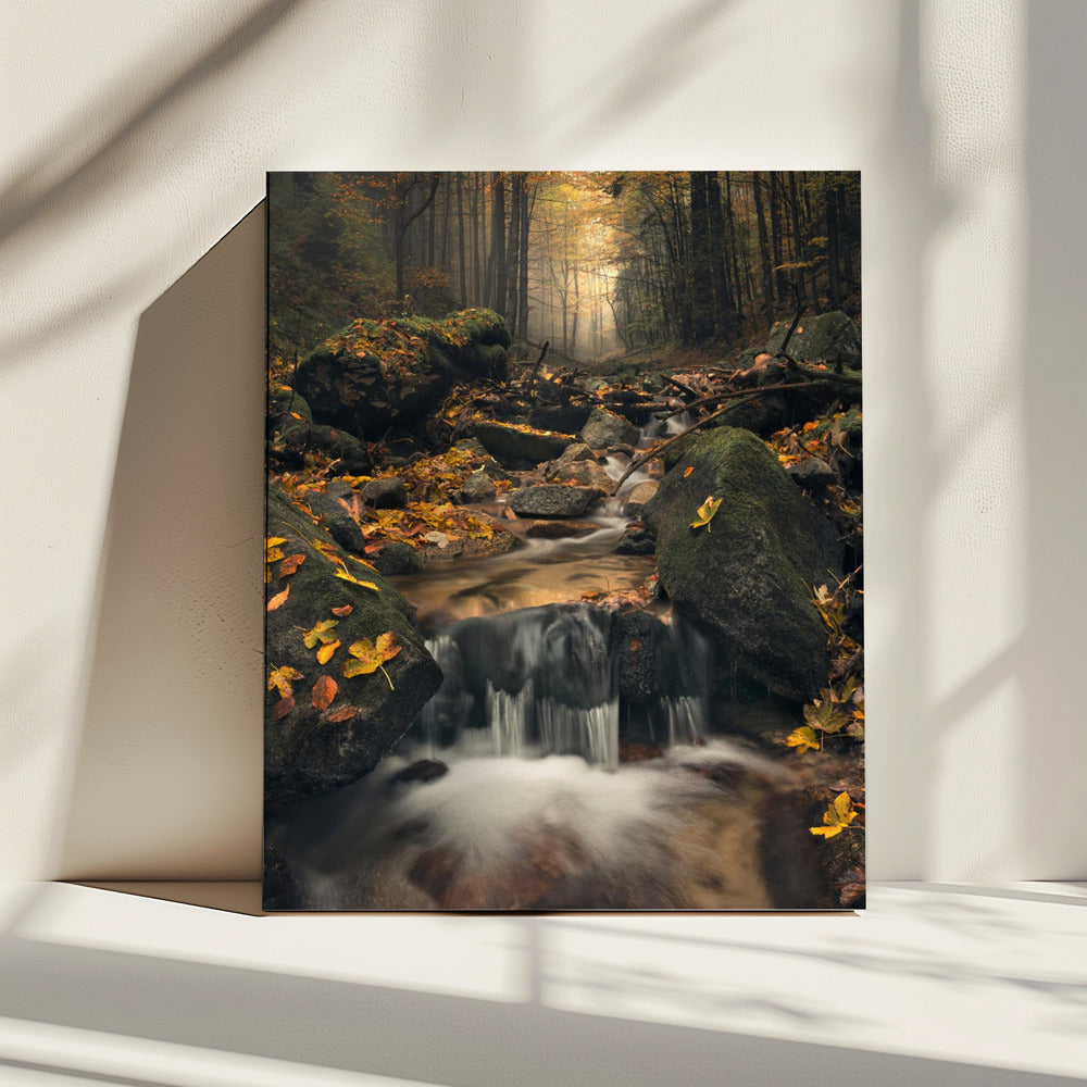 Dreamy Autumn | Canvas
