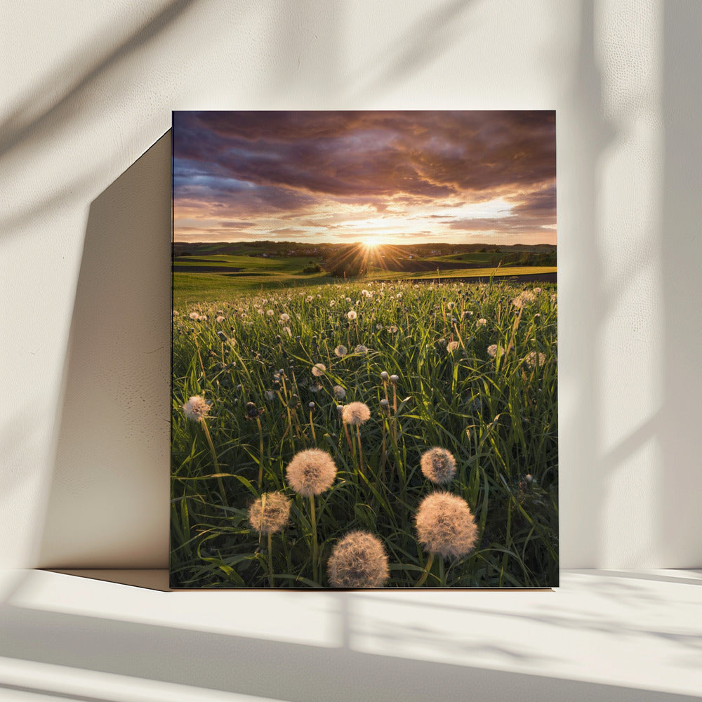 Poppy World | Canvas
