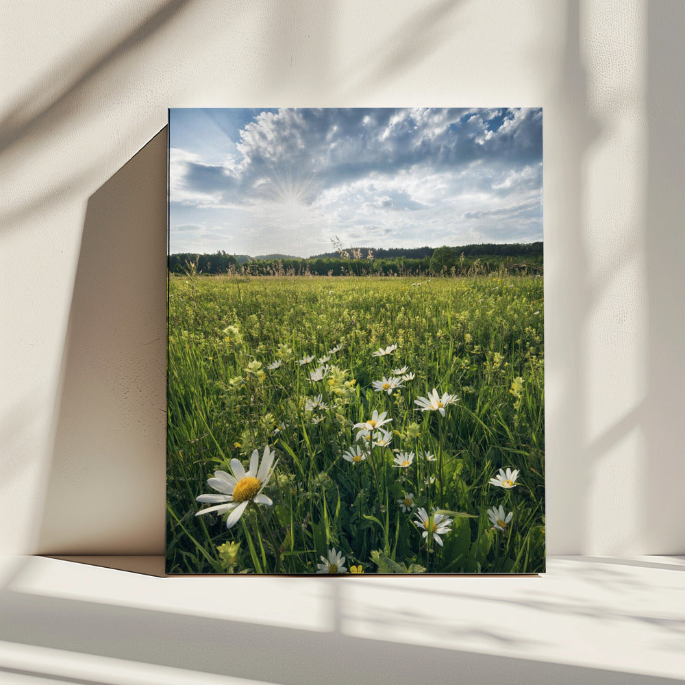 Flowering Meadow | Canvas
